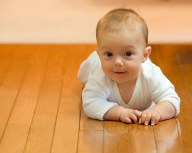 Hardwood Floor Cleaning Rockford IL