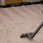 Carpet Cleaning Rockford IL